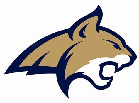 Msu bobcat football - Box Score SAN LUIS OBISPO, Calif. — Montana State struck early and never looked back, rolling to a 72-28 win at Cal Poly on Saturday night in San …